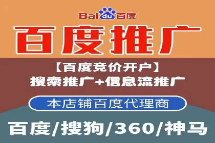 搜索引擎营销（SEM）推广策略案例分享